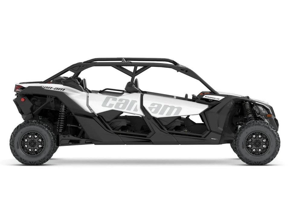 Buggy quatre places blanc et noir vu de profil